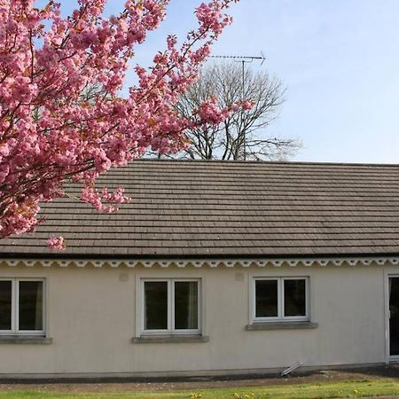 Sunny Bungalow コータウン エクステリア 写真